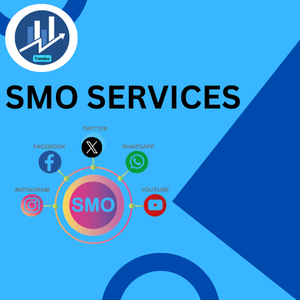 Promoting businesses on platforms like Facebook, Instagram, Twitter, and LinkedIn through content creation and paid advertising.